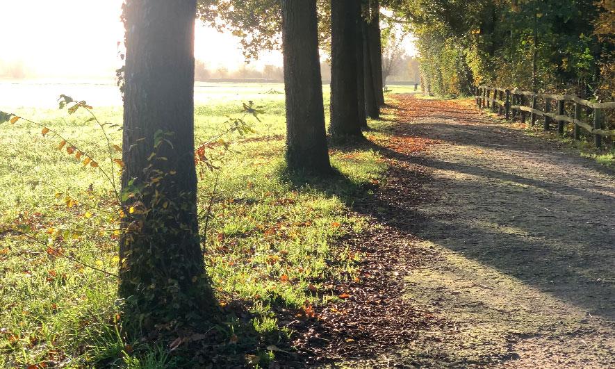 Ontdek de prachtige omgeving in Domein De Ghellinck.