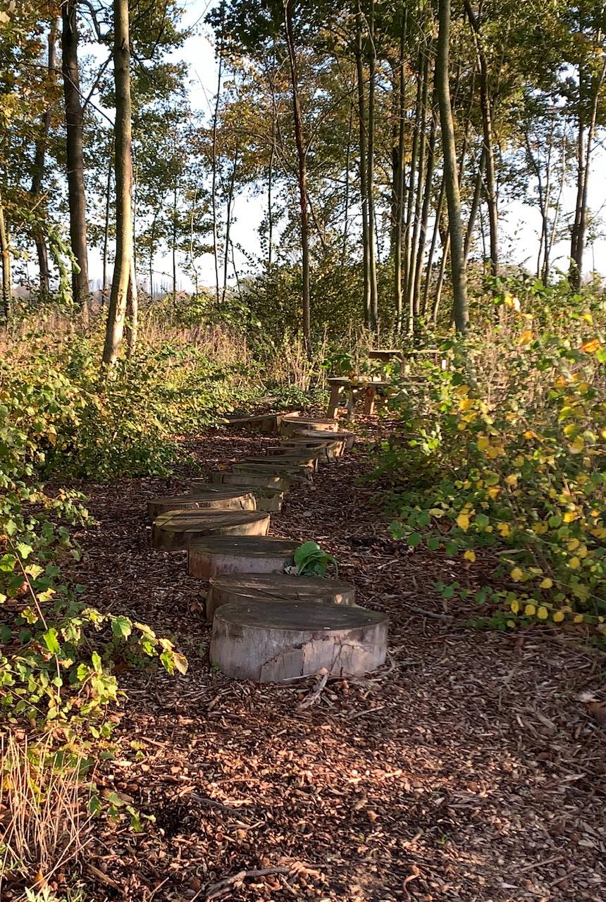 Ontdek de prachtige omgeving in Domein De Ghellinck.